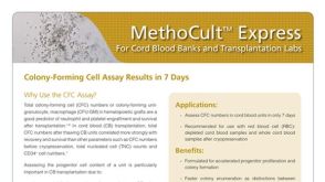 Colony-Forming Cell Assay Results in 7 Days