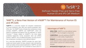 TeSR™2 Defined Feeder-Free and Xeno-Free Human ES and iPS Cell Medium