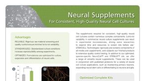 Neural Supplements For High-Quality Neural Cell Cultures