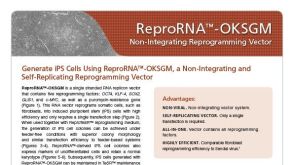 ReproRNA™-OKSGM Non-Integrating Reprogramming Vector