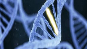 William Housley, PhD