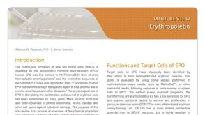 Erythropoietin (EPO): Properties, Biological Functions, and Measurement