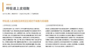 呼吸道上皮细胞