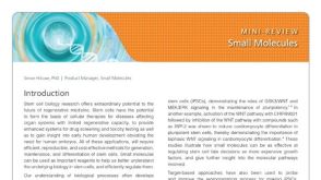 Small Molecules