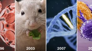 Immunology Features