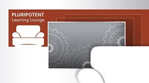 Pluripotent Learning Lounge