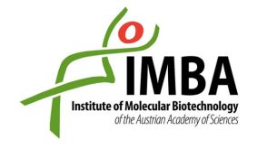 STEMCELL Technologies Signs Exclusive Agreement with the Institute of Molecular Biotechnology to Commercialize Cerebral Organoid Culture Systems