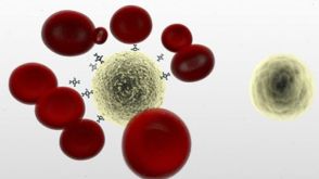 New Video: Untouched cells in one step with RosetteSep™