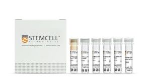 STEMCELL Technologies and Immudex Launch New Protocol for Rapid and Gentle Enrichment of Antigen-Specific T Cells