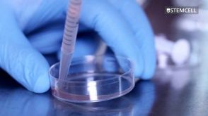 如何从小鼠脾脏制备单细胞悬液