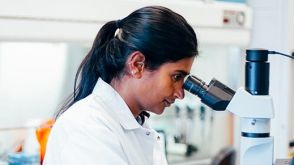 如何分选小鼠骨髓细胞并对其染色以进行流式检测?