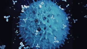 杂交瘤细胞制备：整合电融合与ClonaCell™-HY工作流程