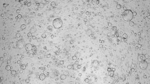 Expansion of Hepatic Organoids via Single Cells Using HepatiCult™ Organoid Growth Medium