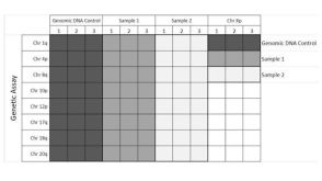 How to Use the hPSC Genetic Analysis Kit with 96-Well Plates