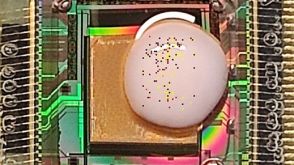 Measuring Neuronal Activity in Human Pluripotent Stem Cell-Derived Cerebral Organoids on 3D High-Density Multi-Electrode Arrays