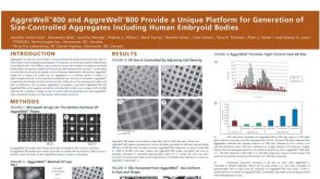 Aggrewell™400 and Aggrewell™800 Provide a Unique Platform for Generation of Size-Controlled Aggregates Including Human Embryoid Bodies