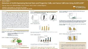 Detection of ALDH-Expressing Normal Stem and Progenitor Cells, and Cancer Cell Lines Using ALDEFLUOR™