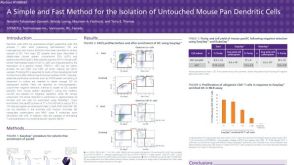 Isolation of Untouched Mouse pan Dendritic Cells