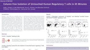 Immunomagnetic Cell Isolation of Untouched Human Regulatory T Cells
