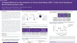 Cell Isolation to Obtain Untouched Na&iuml;ve CD8 T Cells from Peripheral Blood Mononuclear Cells (PBMCs)