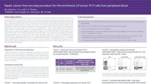 Cell Enrichment of Human Th17 Cells from Peripheral Blood
