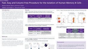 Cell Isolation of Human Memory B Cells