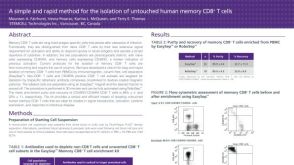 Cell Isolation of Untouched Human Memory CD8+ T Cells