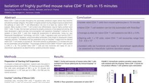 Immunomagnetic Cell Isolation of Highly Purified Mouse Na&iuml;ve CD4+ T Cells in 15 Minutes