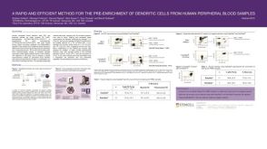 Pre-Enrichment of Dendritic Cells from Human Peripheral Blood Samples