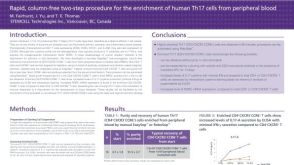 Column Free Enrichment of Human Th17 Cells