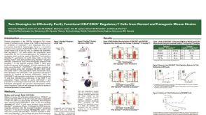 Cell Isolation of Functional CD4+CD25+ Regulatory T Cells from Mouse Strains