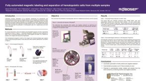Fully Automated Magnetic Labeling and Separation of Hematopoietic Cells from Multiple Samples