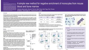 Method for Negative Enrichment of Monocytes from Mouse Blood and Bone Marrow