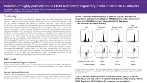 Isolation of Highly Purified Mouse CD4+CD25+Foxp3+ Regulatory T Cells in Less