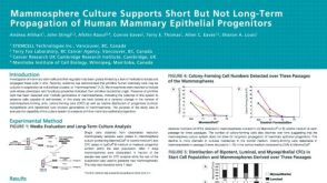 Mammosphere Culture Supports Short But Not Long-Term Propagation of Human Mammary Epithelial Progenitors
