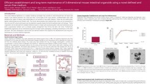 Efficient Establishment and Long-Term Maintenance of 3-Dimensional Mouse Intestinal Organoids Using a Novel Defined and Serum-Free Medium
