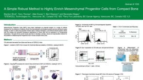 A Simple Robust Method to Highly Enrich Mesenchymal Progenitor Cells from Compact Bone