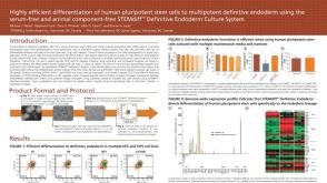 Highly Efficient Differentiation of Human Pluripotent Stem Cells to Multipotent Definitive Endoderm Using STEMdiff™ Definitive Endoderm Culture System