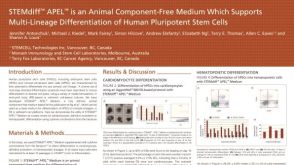STEMdiff™ APEL™ Medium - Multi-Lineage Differentiation of hPSCs
