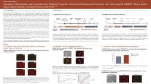 Generation, Maintenance and Cryopreservation of Neural Progenitor Cells Derived from Human Pluripotent Stem Cells Using the STEMdiff™ Neural System