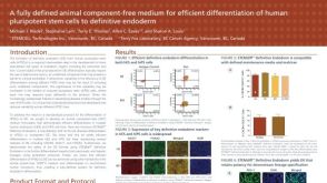 A Fully Defined Animal Component Free Medium for Efficient Differentiation of Human Pluripotent Stem Cells to Definitive Endoderm