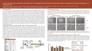 Culture of Human ES and iPS Cells Using TeSR™-E8™: a Simplified and Low Protein Maintenance Medium Compatible With Vitronectin XF™