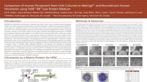 Comparison of Human Pluripotent Stem Cells Cultured on Matrigel™ and Recombinant Human Vitronectin Using TeSR™-E8™ Low Protein Medium