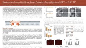 Weekend-Free Protocol to Culture Human Pluripotent Stem Cells Using mTeSR™1 or TeSR™-E8™