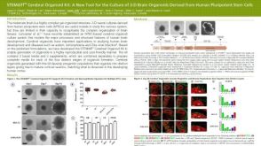 STEMdiff™ Cerebral Organoid Kit: A New Tool for the Culture of 3D Brain Organoids Derived from hPSCs
