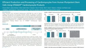 Efficient Production and Processing of Cardiomyocytes from Human Pluripotent Stem Cells Using STEMdiff™ Cardiomyocyte Products