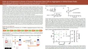 Scale-Up of Suspension Cultures of Human Pluripotent Stem Cells as Aggregates in Orbital Shake Flasks