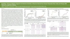 BrainPhys™ Neuronal Medium Supports the Electrical Activities of Neurons Derived from Human Pluripotent Stem Cells and Primary CNS Tissues in Long-Term Cultures