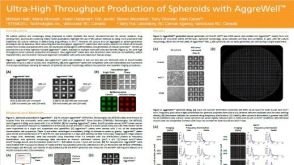 Ultra-High Throughput Production of Spheroids with AggreWell™