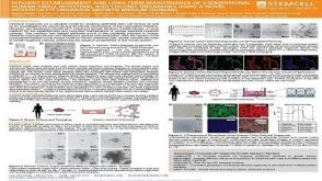 Efficient Establishment and Long-term Maintenance of 3-dimensional Human Small Intestinal and Colonic Organoids Using a Novel IntestiCult™ Organoid Growth Medium (Human)